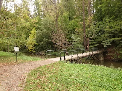 Lasek Miejski nad Puńcówką